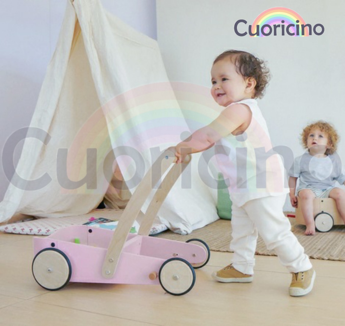 CARRITO ANDADOR - Imagen 7