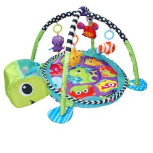 Gimnasio Tortuga con Bolitas