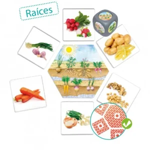 ¿De dónde vienen los alimentos? AKROS